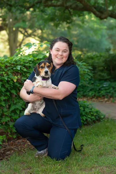 Hollow Creek Animal Hospital 12