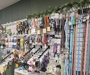 The Paw Pad Pet Boutique