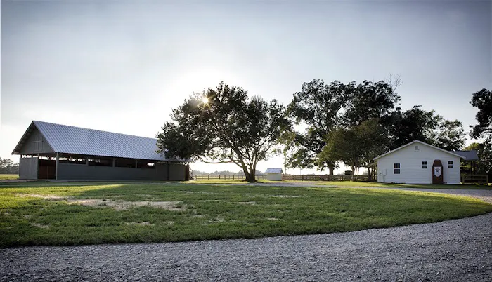 Aiken Equine Veterinary Associates 12
