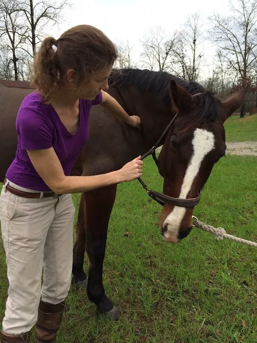 Aiken Equine Veterinary Associates 12