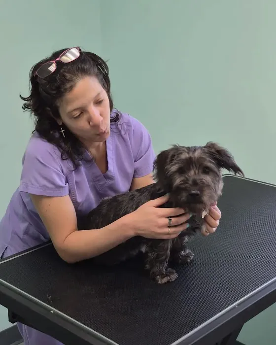 Veterinary Care of University Blvd 12