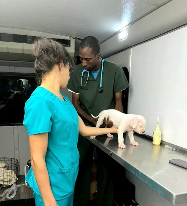 Veterinary Care of University Blvd 12