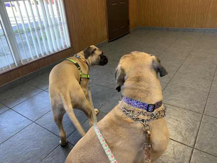 Brentwood Animal Clinic 12