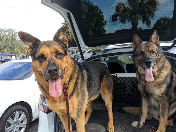 Brentwood Animal Clinic 12