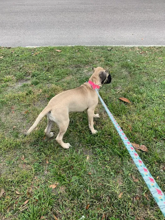 Brentwood Animal Clinic 12
