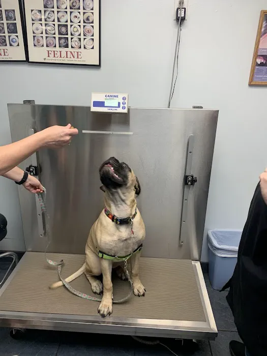 Brentwood Animal Clinic 12