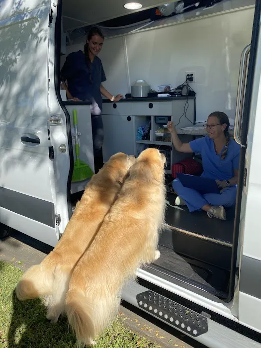 Sunrise Vet at Sawgrass & Mobile 12
