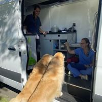 Sunrise Vet at Sawgrass & Mobile ico