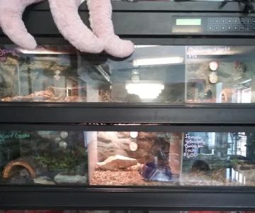 Critters Pet Shop