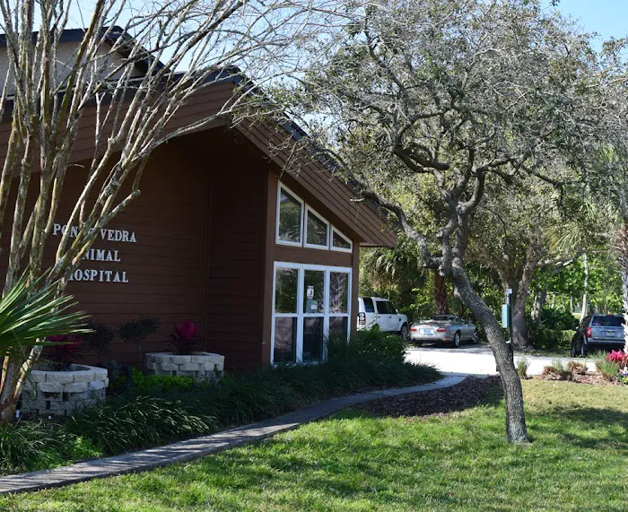 VCA Ponte Vedra Animal Hospital 12