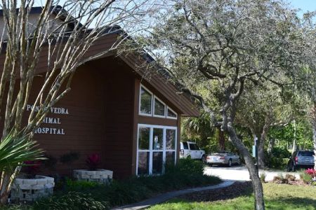 VCA Ponte Vedra Animal Hospital