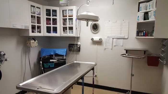 VCA 12
