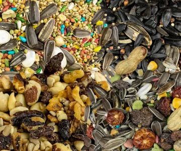Bird Pro - Craft Bird Food