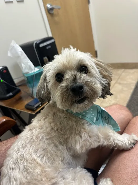 First Coast Veterinary Specialists & Emergency 12