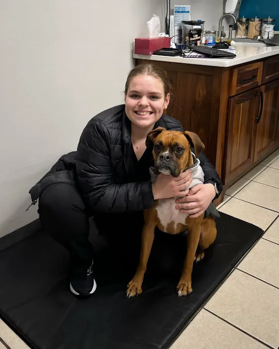 Big Lick Veterinary Services 1