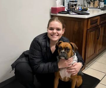 Big Lick Veterinary Services