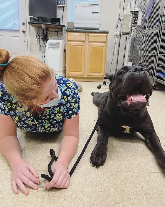 Big Lick Veterinary Services 2