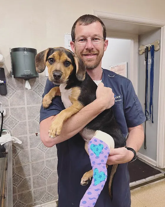 Big Lick Veterinary Services 8