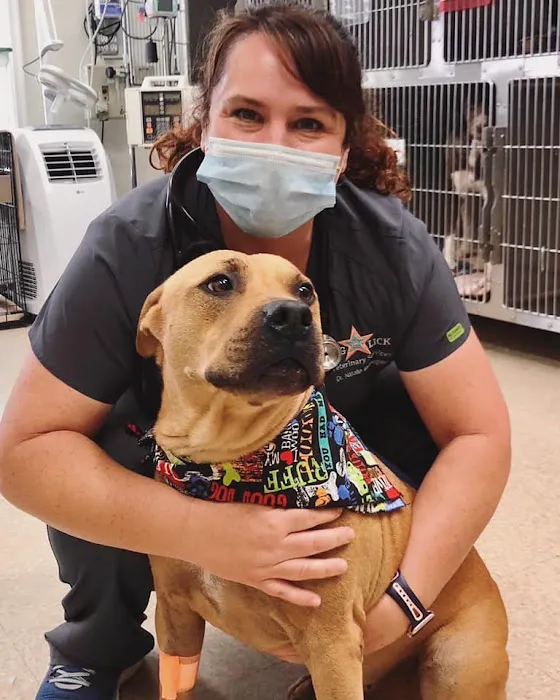 Big Lick Veterinary Services 10