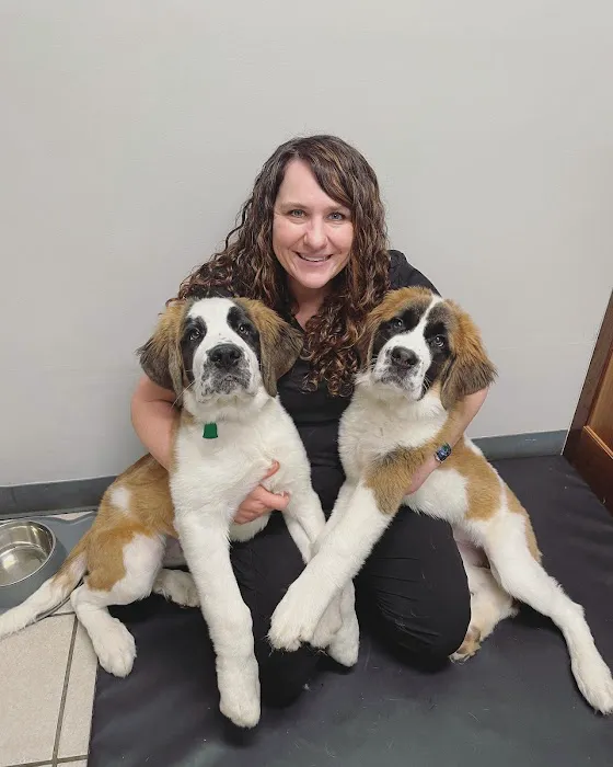 Big Lick Veterinary Services 5