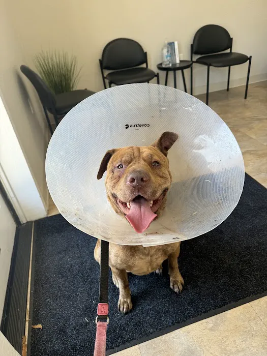 Anicira Veterinary Center of San Diego 3