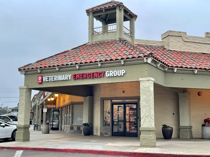 Veterinary Emergency Group 12
