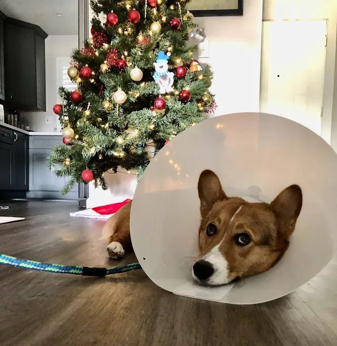 Encinitas Animal Hospital 1