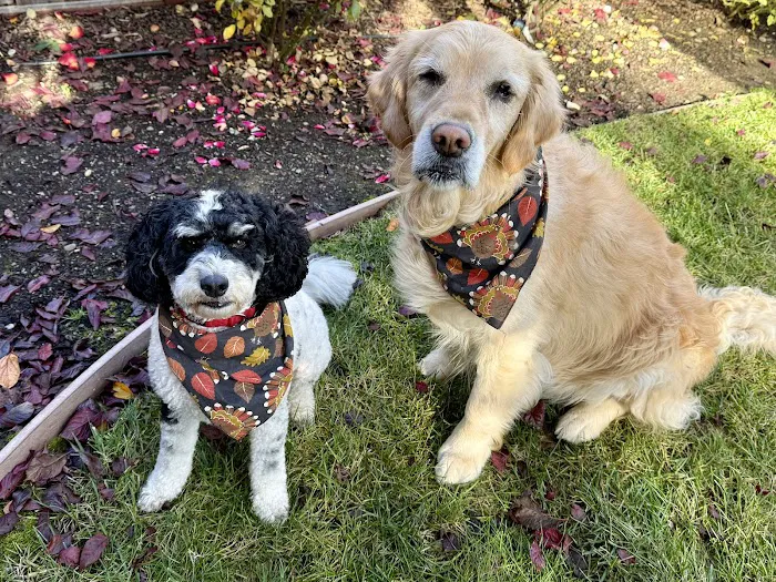 Encinitas Animal Hospital 5