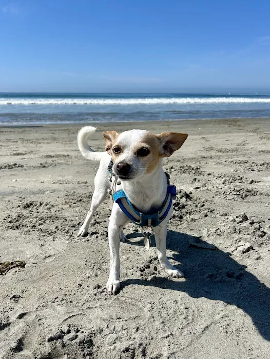 Encinitas Animal Hospital 4
