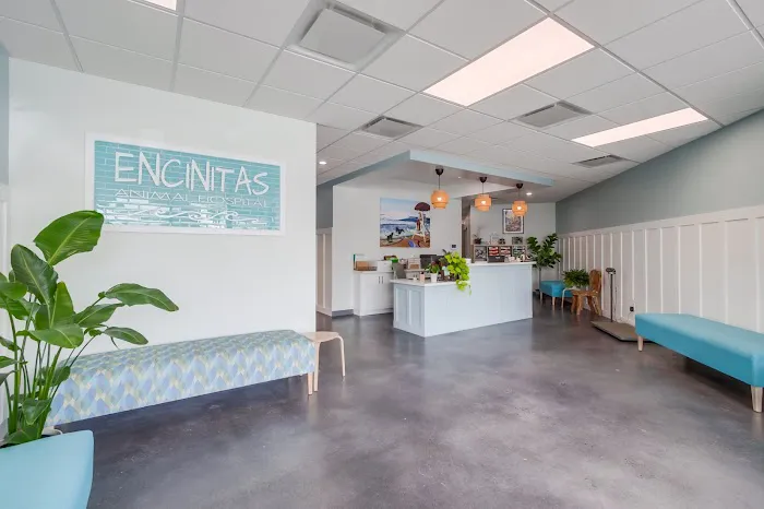 Encinitas Animal Hospital 9