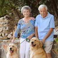 Canyon Creek Animal Hospital ico