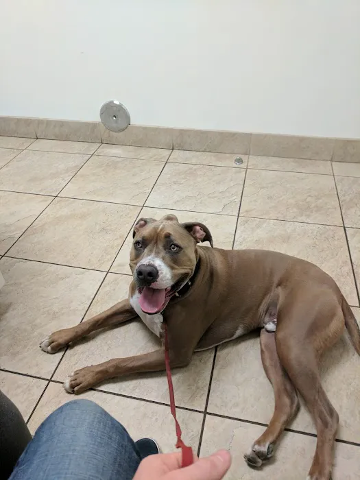 Canyon Creek Animal Hospital 12