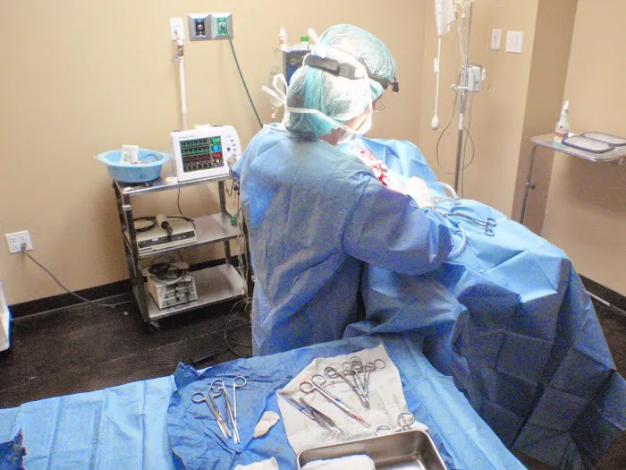 PETSURG 6