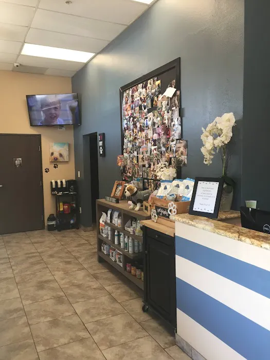 Best Friends Animal Hospital 4