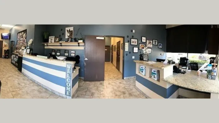 Best Friends Animal Hospital 6