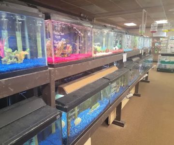Critter Corner