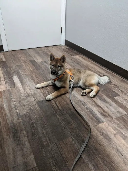 Bernardo Heights Veterinary Hospital 8