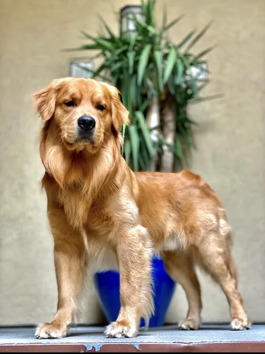 Bernardo Heights Veterinary Hospital 7