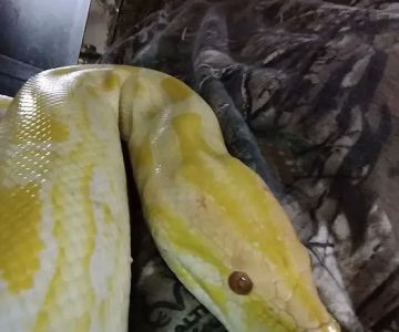 Big Sal's Feeder Farm & Reptile Supply