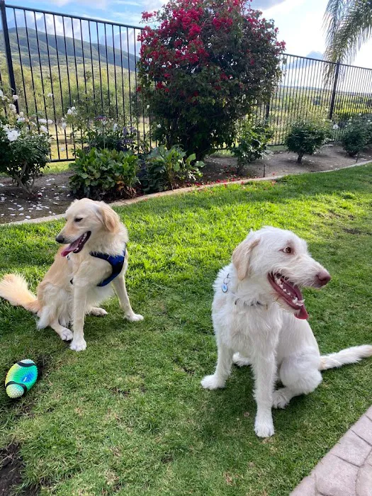 Rancho Bernardo Pet Hospital 2