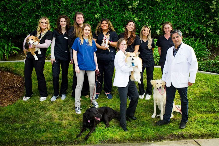 Rancho Bernardo Pet Hospital 5