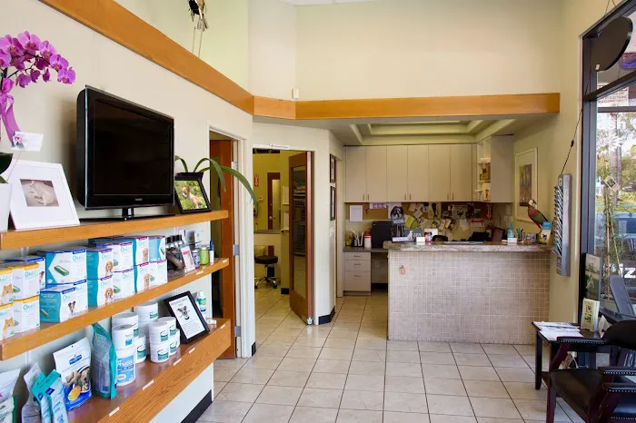 Rancho Bernardo Pet Hospital 6