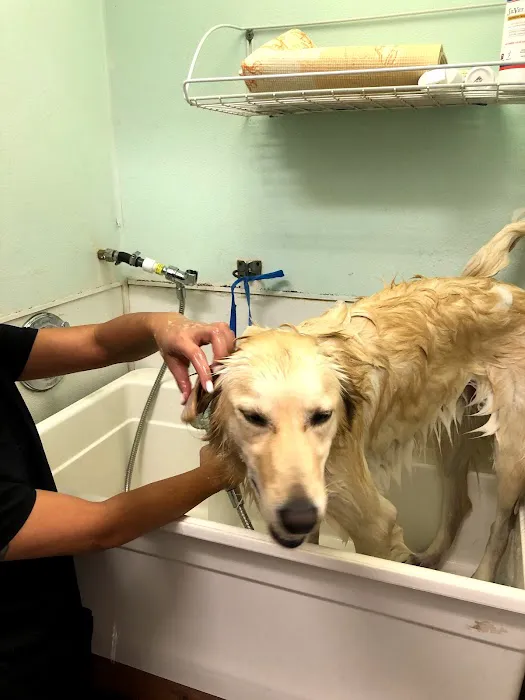 Rancho Bernardo Pet Hospital 8