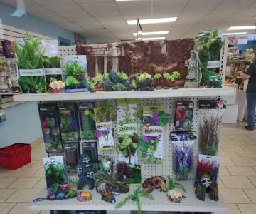 Pet Parlor