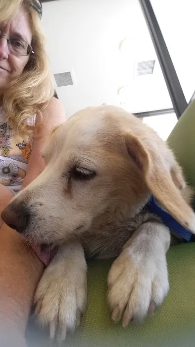 Banfield Pet Hospital 3
