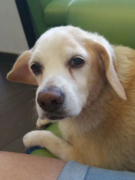 Banfield Pet Hospital 8