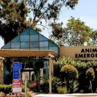 Animal Emergency Clinic of San Diego ico