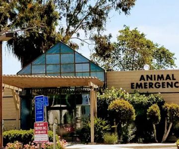 Animal Emergency Clinic of San Diego