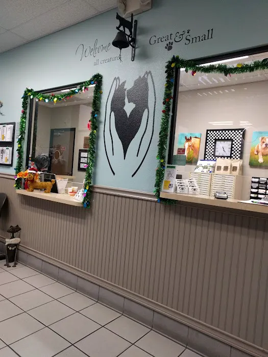 Animal Emergency Clinic of San Diego 10