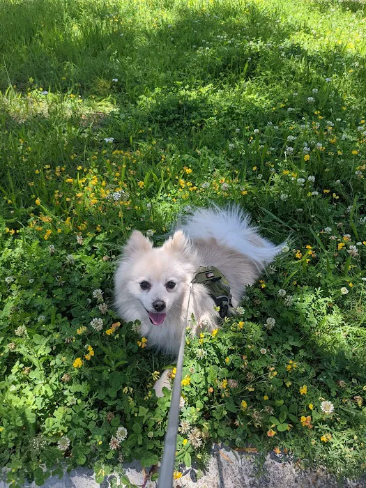 Animal Emergency Clinic of San Diego 6